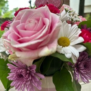 Meet your Posher, Salma